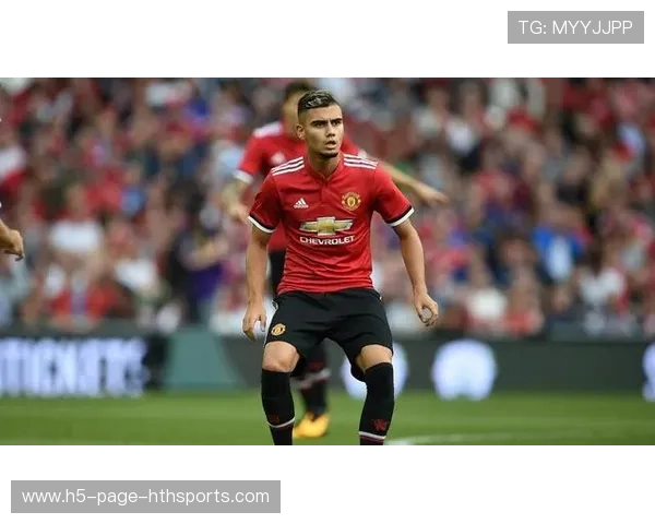 曼联中场未来蓝图曝光？内维斯位置极为关键